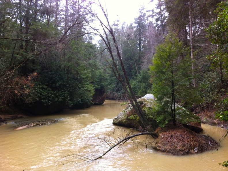 Swift Camp Creek Trail - 4